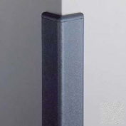 Corner Guard 90°, 2'' Wings, 4'H W/Caps, Silver Gray
