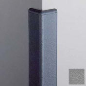 Corner Guard 90°, 2'' Wings, 4'H W/Caps, Gray