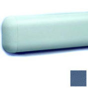 Wall Guard W/Rounded Top & Bottom Edges, 2-516"H x 12'L, Blue Bird