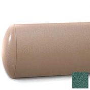 Crescent Series Wall Guard W/Rec. Plastic Clip Retainer System, 5"H x 12'L, Grotto