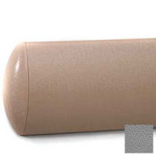 Crescent Series Wall Guard W/Rec. Plastic Clip Retainer System, 5"H x 12'L, Gray