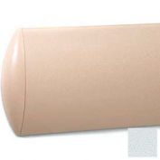 Crescent Series Wall Guard, Aluminum Retainer, 8"H x 12'L, Blue Ice