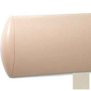 Crescent Series Wall Guard W/Rec. Plastic Clip Retainer System, 8"H x 12'L, Bone