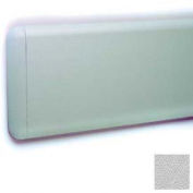 Wall Guard W/Rounded Top & Bottom Edges, 7-3/4"H x 12'L, Silver Gray