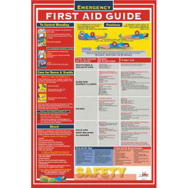 National Marker Company PST002 NMC PST002 Poster, First Aid Guidefety, 18 x 24