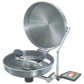 Guardian Equipment G1750BC Eye/Face Wash Wall Mounted Stainless Steel Bowl and Cover