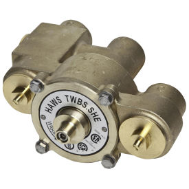Haws 74 GPM Lead Free Thermostatic Emergency Mixing Valve