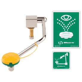 Haws Barrier-Free Single Action Swing-Down Eye/Face Wash, Counter Top, Mounted On Rear Of Sink