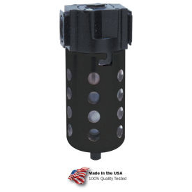 Standard Particulate Filter, Poly Bowl With Float Drain, 3/8" NPT, 150 PSI