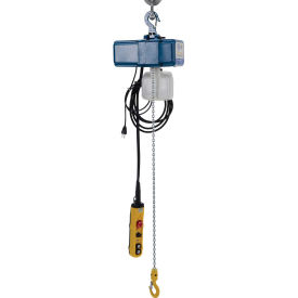 Vestil 250 Lb. Capacity Variable Speed Electric Chain Hoist