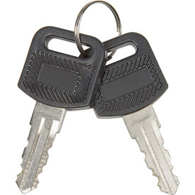 Replacement Keys for Charging Carts 985748, 251761, 987877, 987878, 670051, 670052, Set of 2
