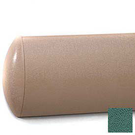 Crescent Series Wall Guard, Aluminum Retainer, 5"H x 12'L, Grotto