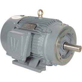 Worldwide Electric T-Frame Motor PEWWE1.5-18-145TC, TEFC, GP, 3 PH, Rigid-C, 145TC, 2.2 FLA