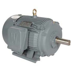 Worldwide Electric T-Frame Motor PEWWE125-18-444TBB, TEFC, GP, 3 PH, Rigid, 444T, 144 FLA