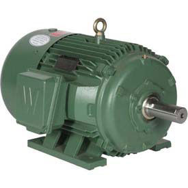 Worldwide Electric Motor PEWWE40-12-575-364T, TEFC, PEM, 3 PH, Rigid, 364T, 575V, 40.6 FLA