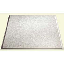 Genesis Stucco Revealed Edge PVC Ceiling Tile, Waterproof & Washable, 2'L X 2'W, White, 12/Pack