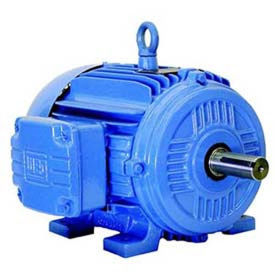 WEG NEMA PEM 00709ET3E256T-W22, 900 RPM, 7.5 HP, TEFC, 208-230/460V, 256T, 3PH