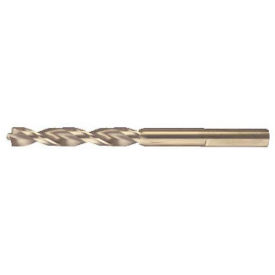 DeWALT Pilot Point Drill Bit, 3/8" Diameter, 1/Pack, DW1924