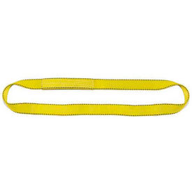 Liftex Pro-Edge 20'L-1"W 1 Ply Endless Poly Flat Web Sling