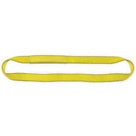 Liftex Pro-Edge 4'L-1"W 2 Ply Endless Poly Flat Web Sling