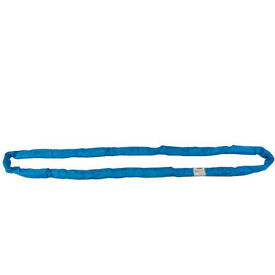 Liftex RoundUp™ 8'L-2"W Endless Poly Roundsling, Blue