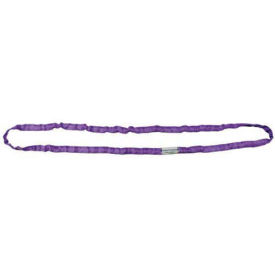 Liftex RoundUp™ 3/4"W 18'L Endless Poly Roundsling, Purple