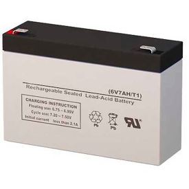 Lithonia ELB 0607 Replacement Battery, Lead Calcium, 6V, 6.5AH (12V Units Requir
