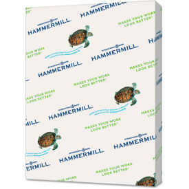 Hammermill Recycled Colored Paper 102889CT, 8-1/2" x 11", Gray, 5000 Sheets/Ctn