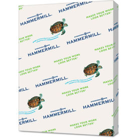 Hammermill Recycled Colored Paper 103119CT, 8-1/2" x 11", Salmon, 5000 Sheets/Ctn