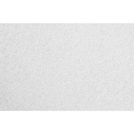 Usg Mars Climaplus Ceiling Panel Mineral Fiber Wht 24 X 24 Fineline Edge With Bevel