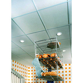 USG Sheetrock™ Ceiling Panels, Gypsum Panel, White, 24" x 24"