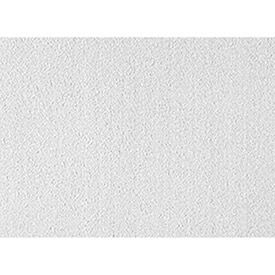 USG Clean Room™ ClimaPlus™ Ceiling Panels, Mineral Fiber, White, 24" x 24"