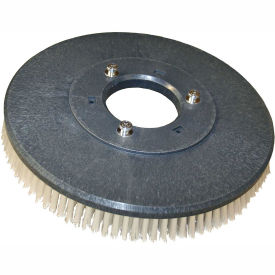 13" Poly Scrub Brush for 26" Auto Floor Scrubber, VF83127