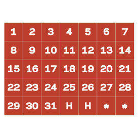 MasterVision Magnetic Calendar Dates, White on Red