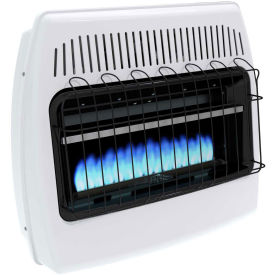 Dyna-Glo BF30NMDG Natural Gas Blue Flame Vent Free Heater, 30,000 BTU