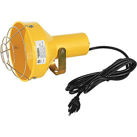 Global Industrial Dock Light Head Only, Par38 Bulb Compatible(Not Included), 8' Cord & Plug