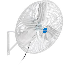 Global Industrial 24" Horizontal Airflow Agricultural Fan, 13095 CFM, 120V